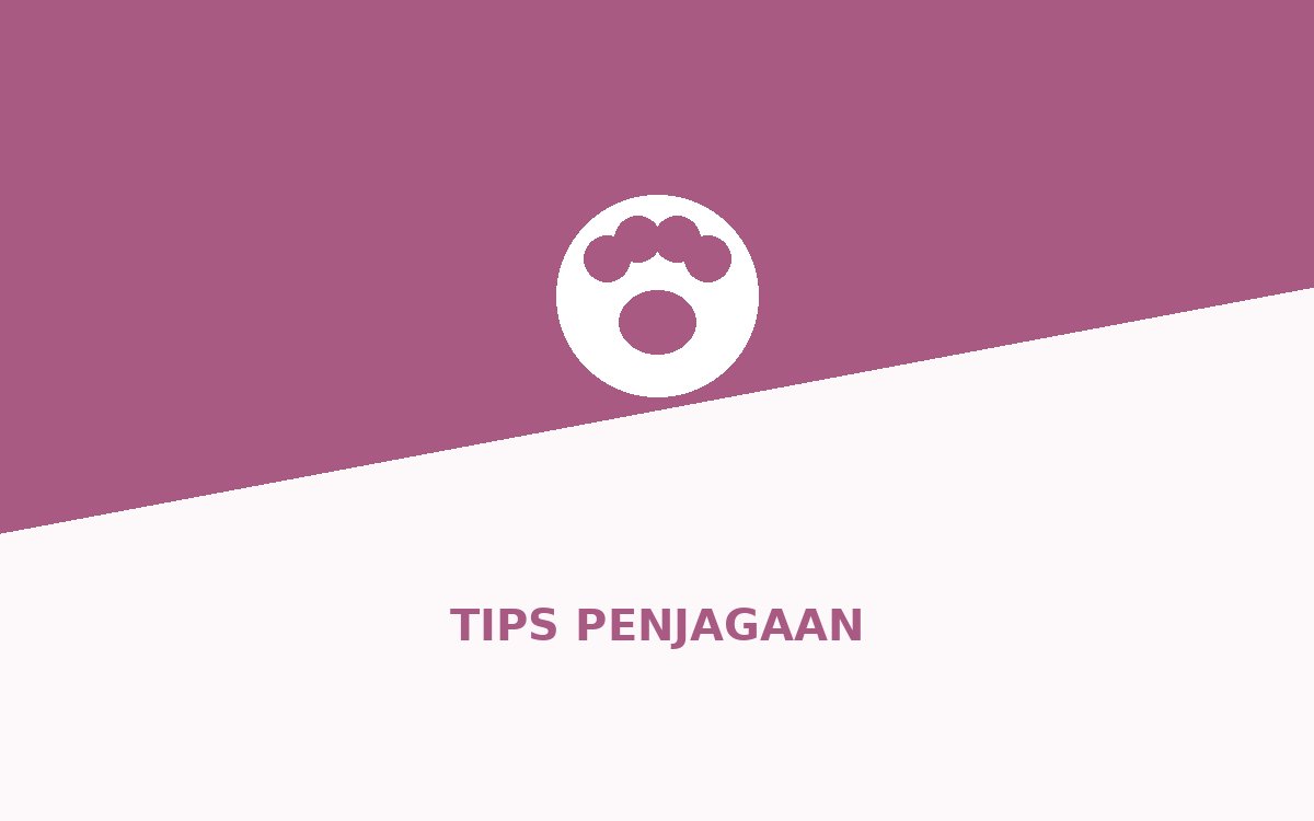5 Tip Jaga Bulu Kucing Musim Hujan