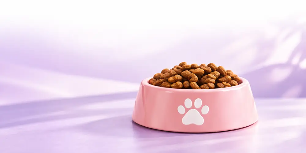 catshometown